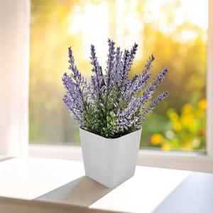 Bitki Yetiştirme Seti ( 7,5 x 6 x 8,3 cm )