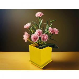 Kapaklı Bitki Dikim Seti ( 7,6 x 7,6 x 8 cm )