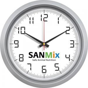 Plastik Duvar Saati ( Ø 40 cm )